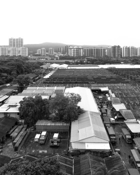 Mahindra & Mahindra汽车制造工作室，印度 / SJK Architects