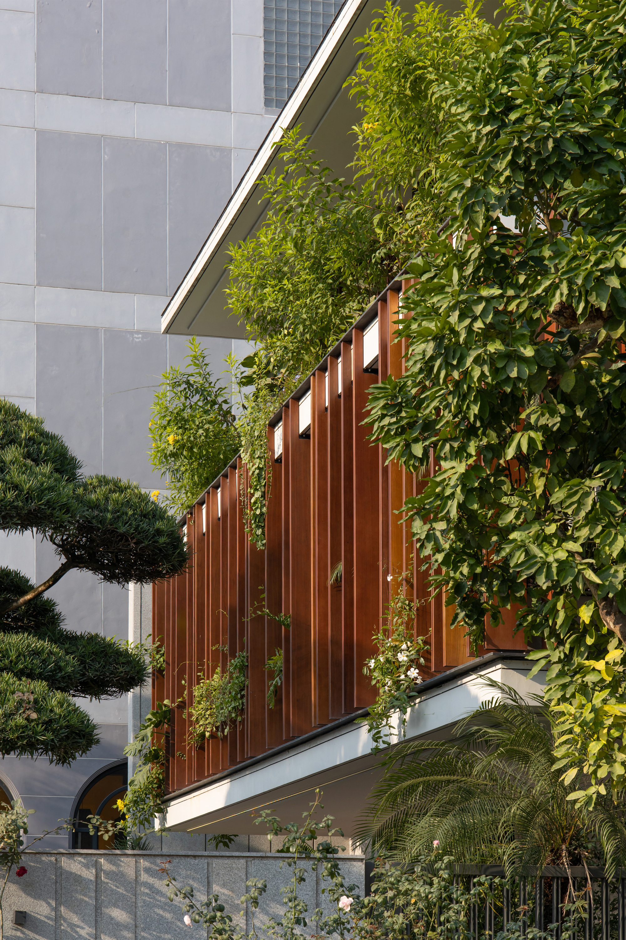 丨越南丨ARO studio-31