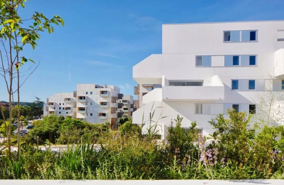 十座充满生命力的建筑 | 传统与现代的完美融合-59