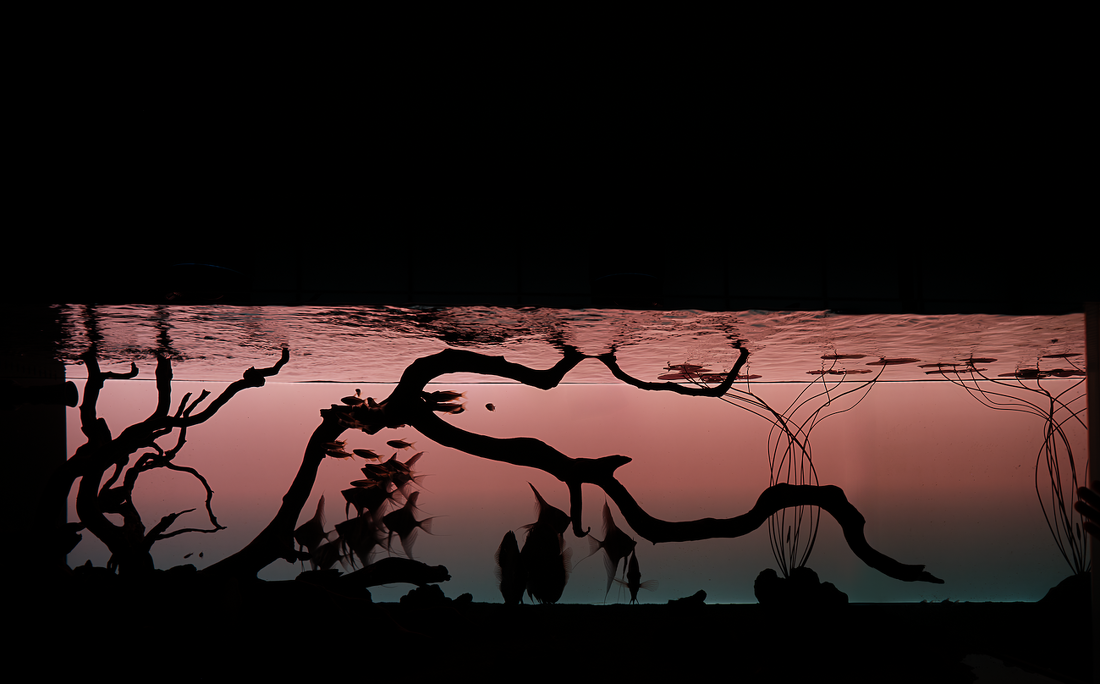 凤起玉鸣丨中国温州丨大墨空间设计-52