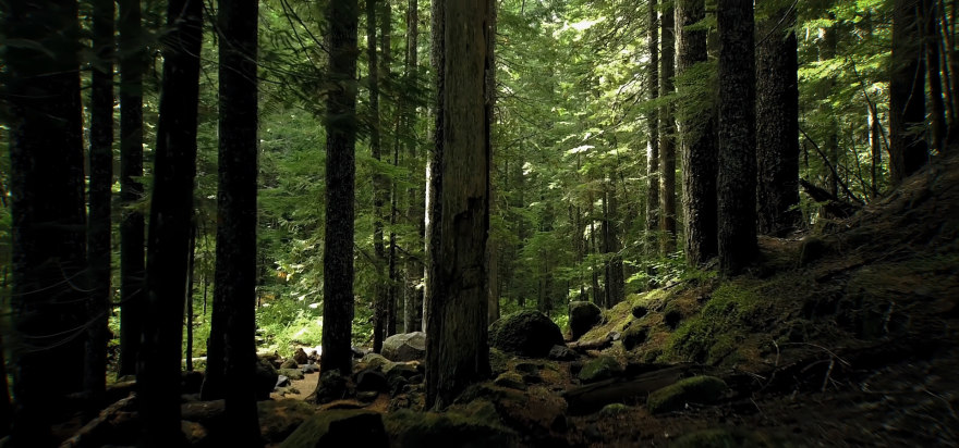 维普厨房动画项目-8