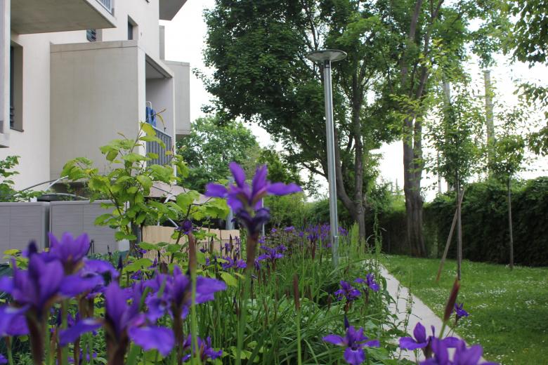 Karin Standler Landschaftsarchitektur丨Wohnpark Csokorgasse丨奥地利-6