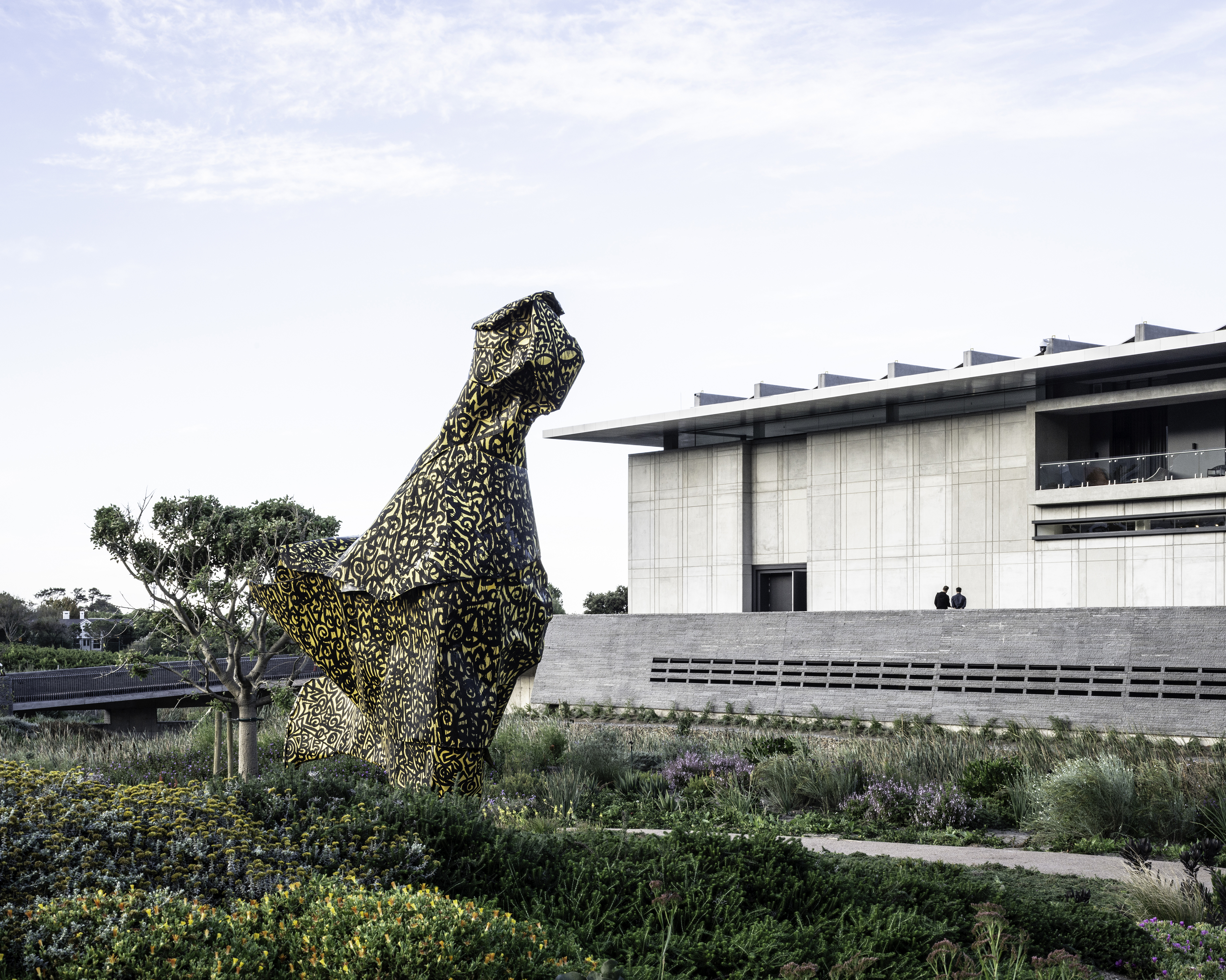 南非 Norval 基金会-18