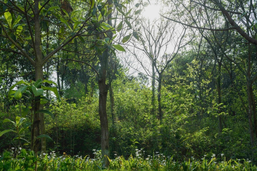 麓野公园丨中国成都丨四川乐道景观设计有限公司-232