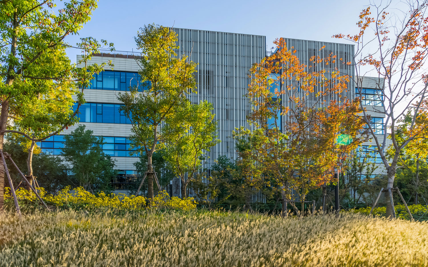 上海创新型教育基地“桥梁”-7