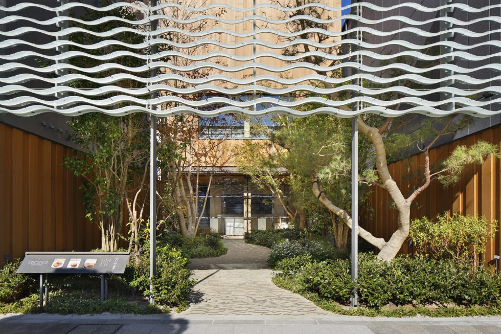 Coconca 面包店丨日本丨中村拓志-1