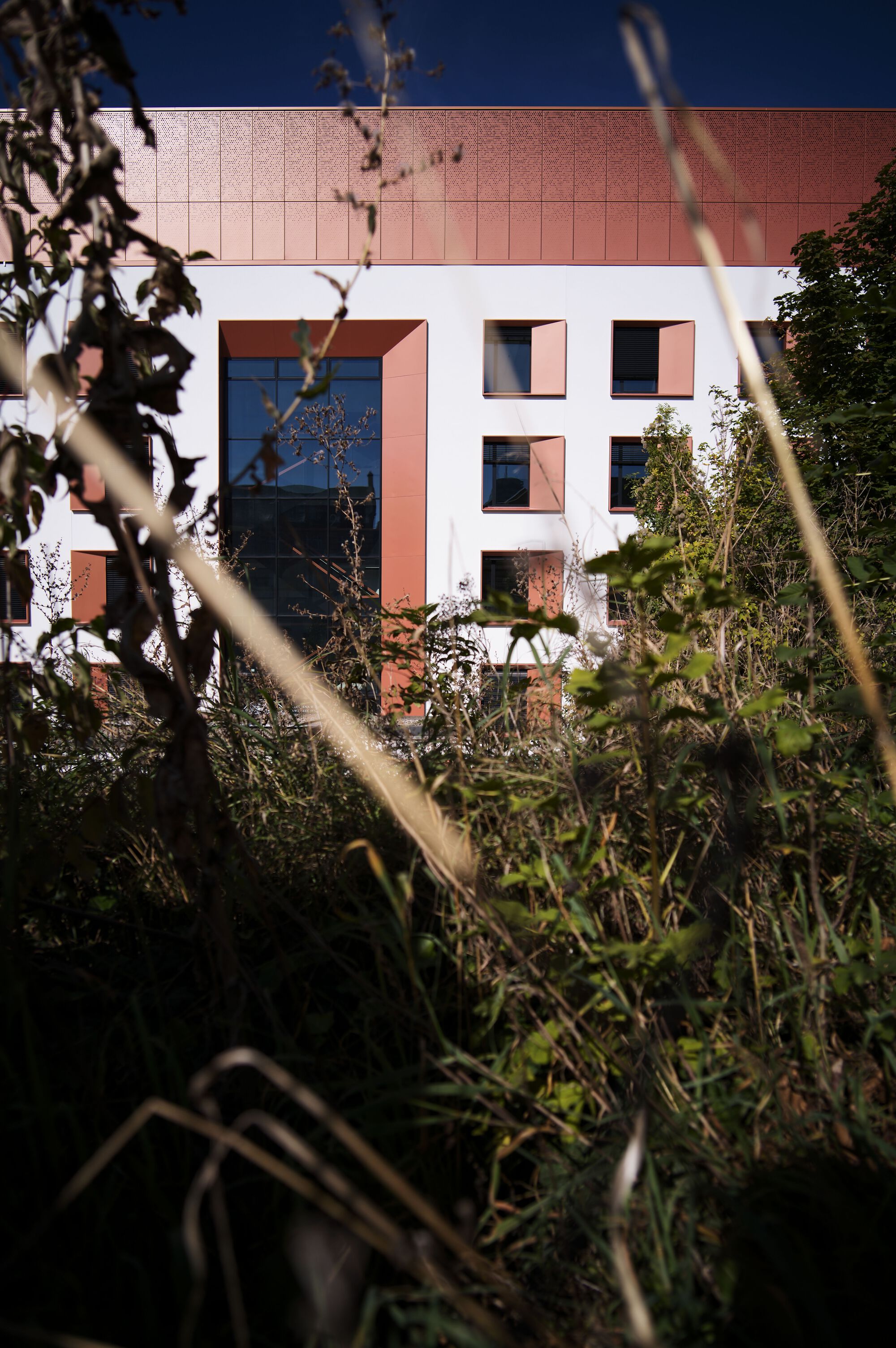 Center for Energy and Environmental Chemistry / Telluride Architektur-26