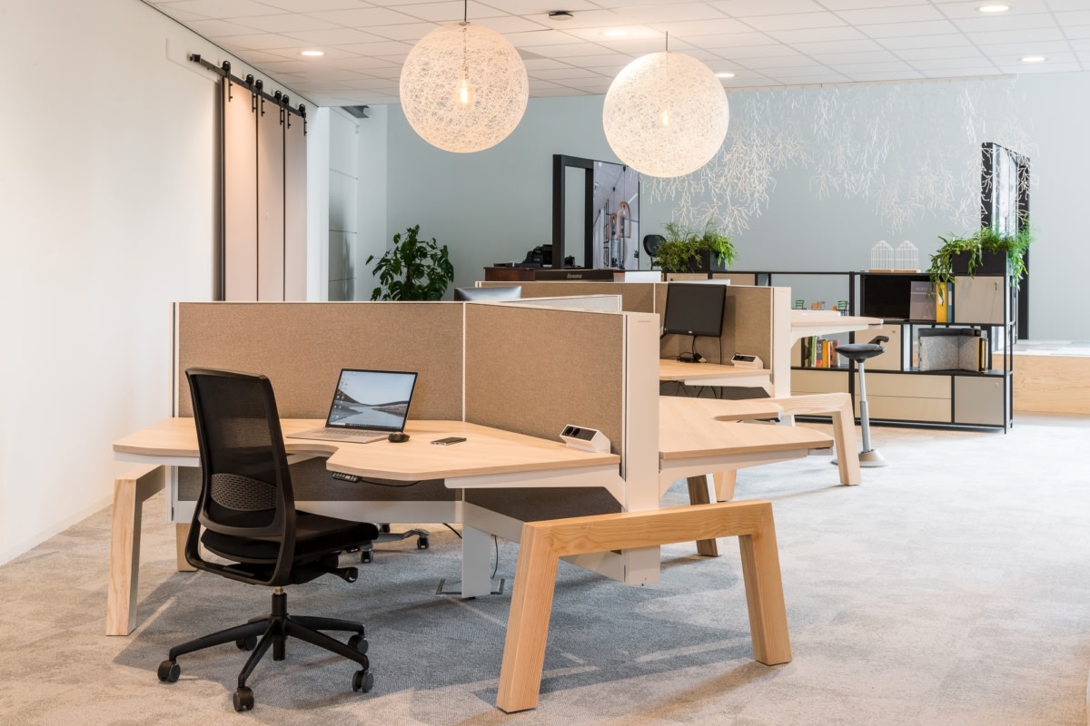 荷兰 Westzaan 的 GZ OfficeXperience 陈列室——现代办公空间的绿色演绎-18