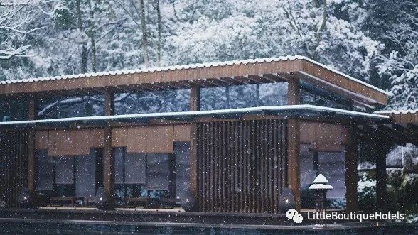 青城山坐忘森林酒店 | 一步一禅,一宿一悟的禅意度假胜地-25