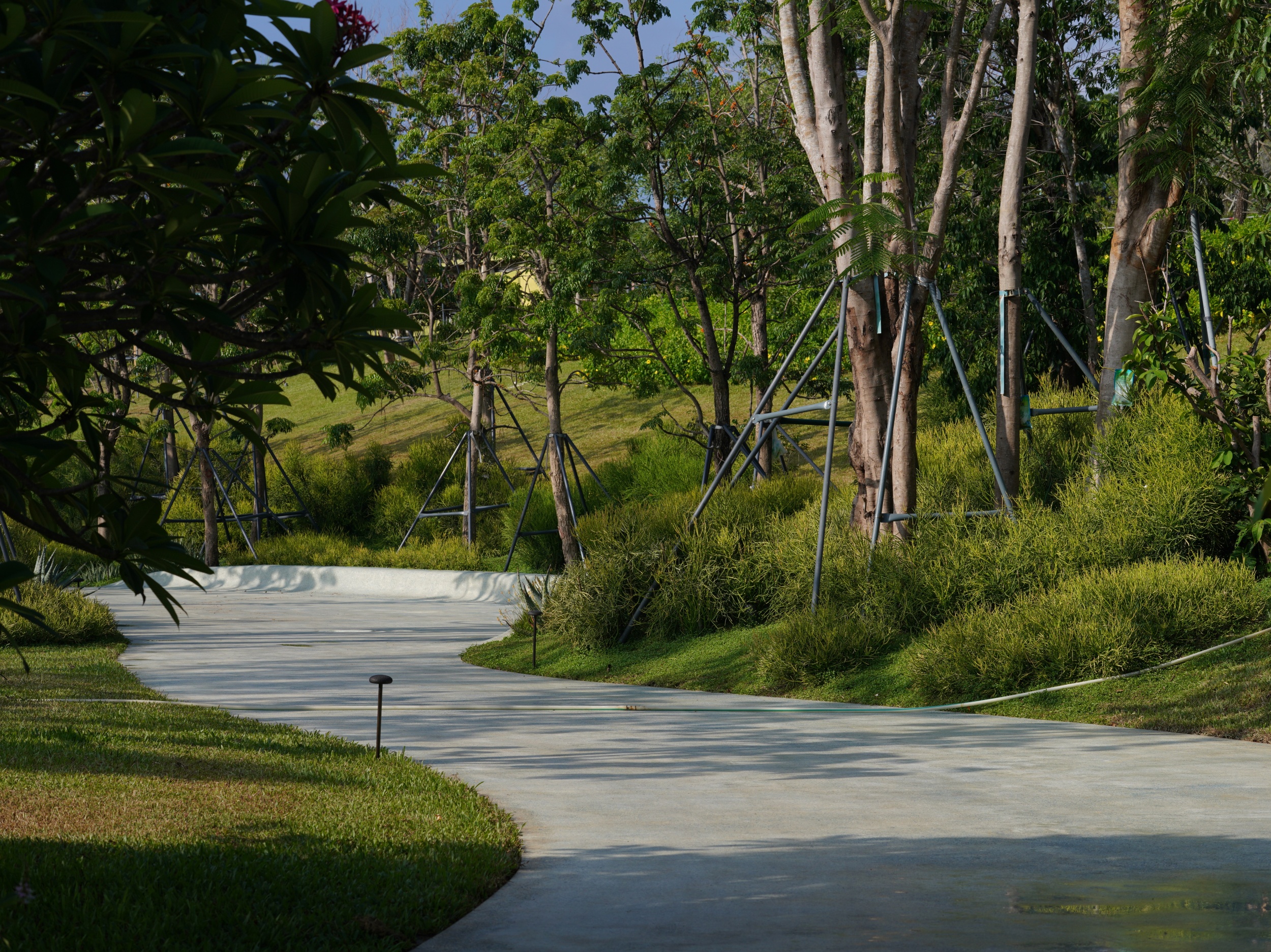三亚海棠河生态公园（二期）·热带奇趣园丨中国三亚丨LOLA Landscape Architects B.V.-54