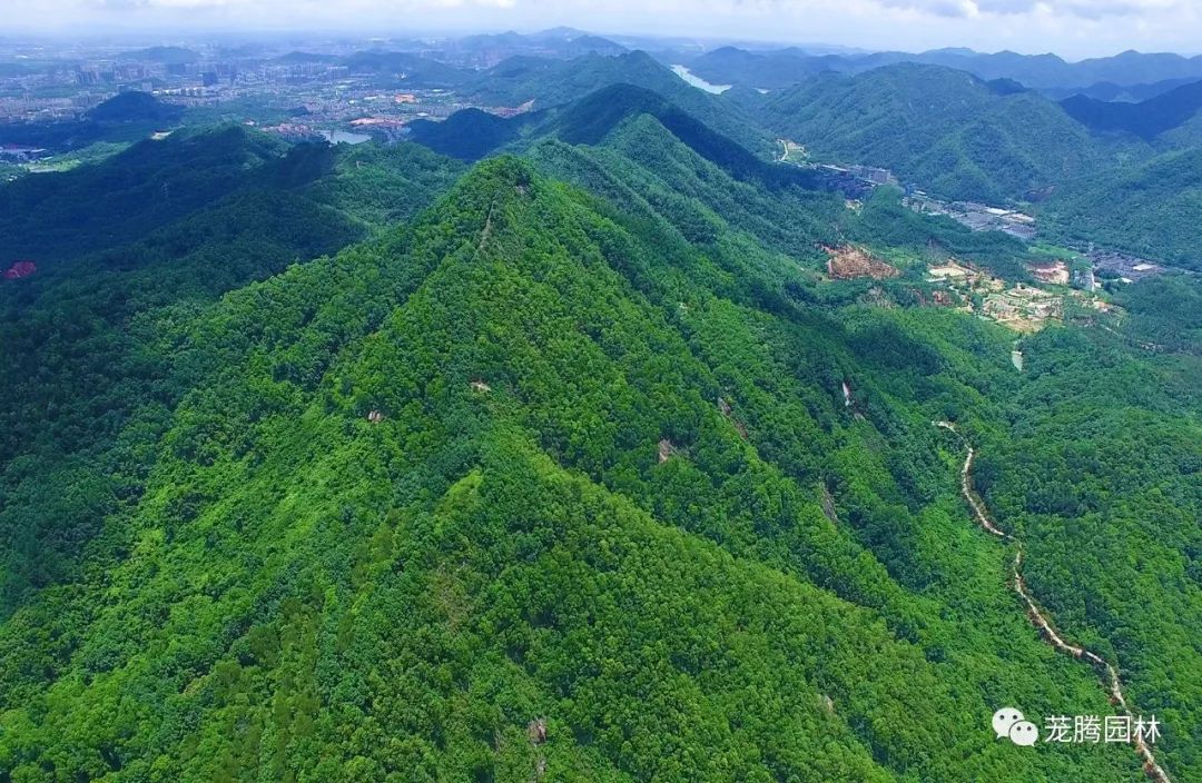 广东中山国家森林公园总体规划(2018·2027)-18