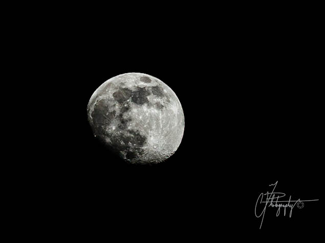 奥米加数码系统大使-35