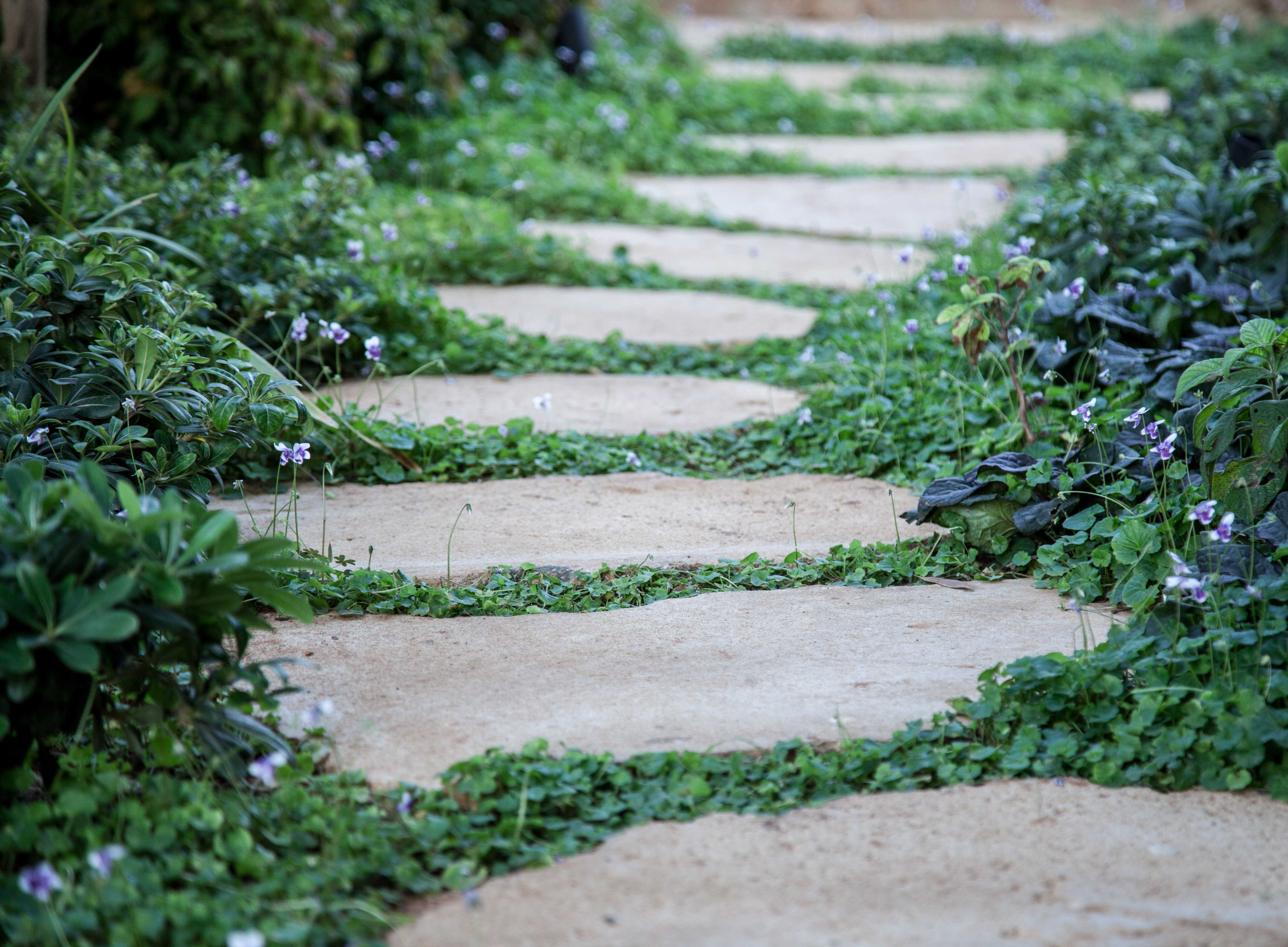 维特建筑师打造的海景住宅-13