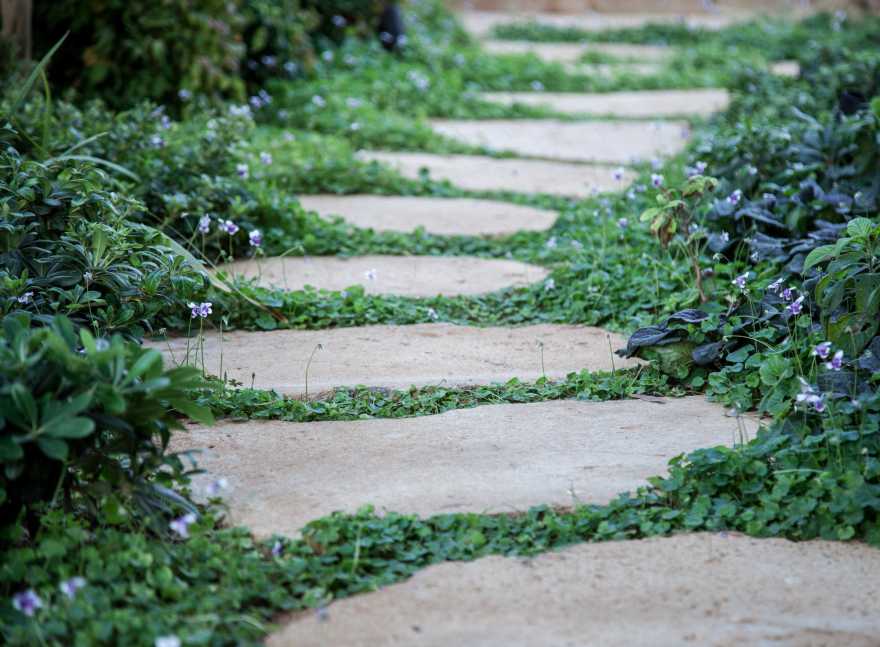 维特建筑师打造的海景住宅-13