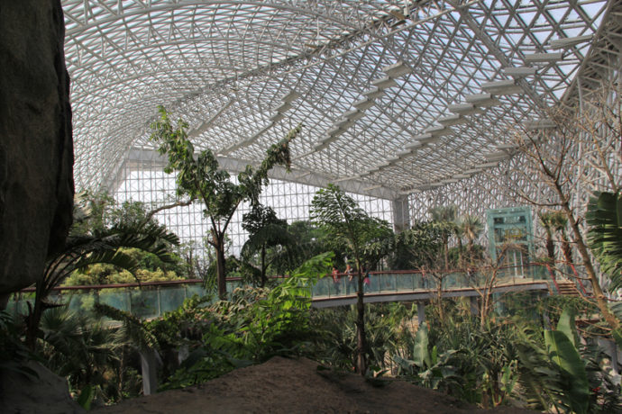 2014青岛世界园艺博览会青岛玻璃屋景观园艺项目丨中国青岛丨Weddle Landscape Design-10