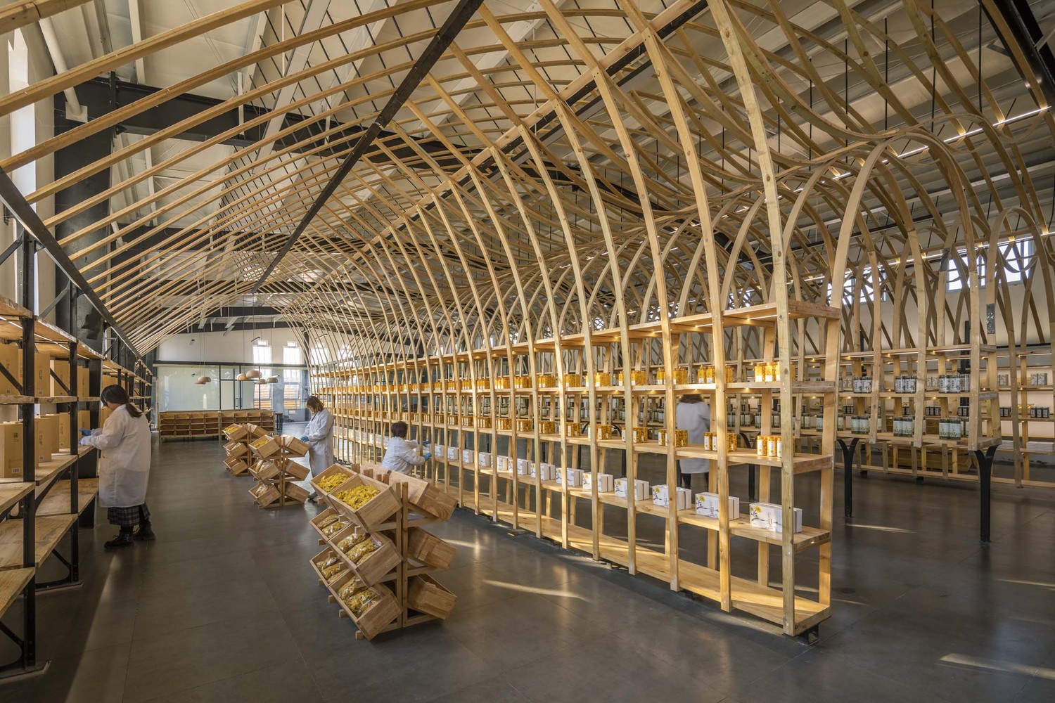 云台山冰菊展示架丨中国焦作丨LUO studio-38