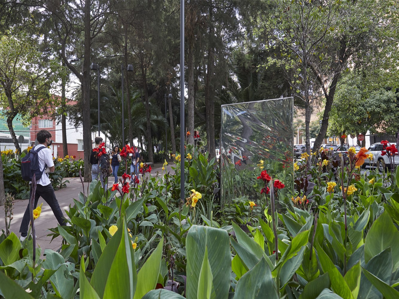 墨西哥光环装置丨Zeller＆Moye-4