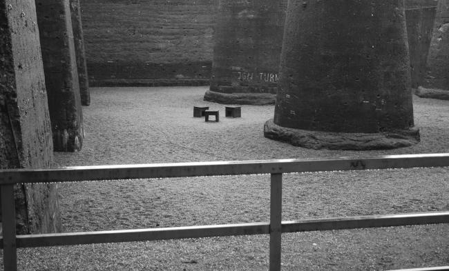 “老虎与乌龟”丨德国丨德国艺术家乌尔里希·根茨和海克·穆特-104