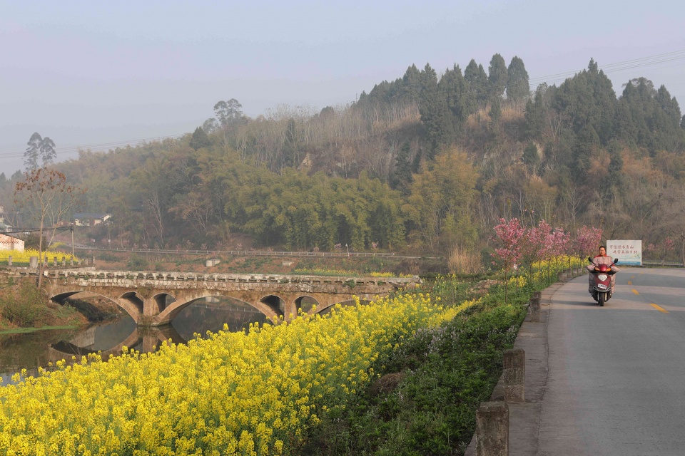乐山东林村镇文化中心 | 传统与现代交融的乡村社交空间-17