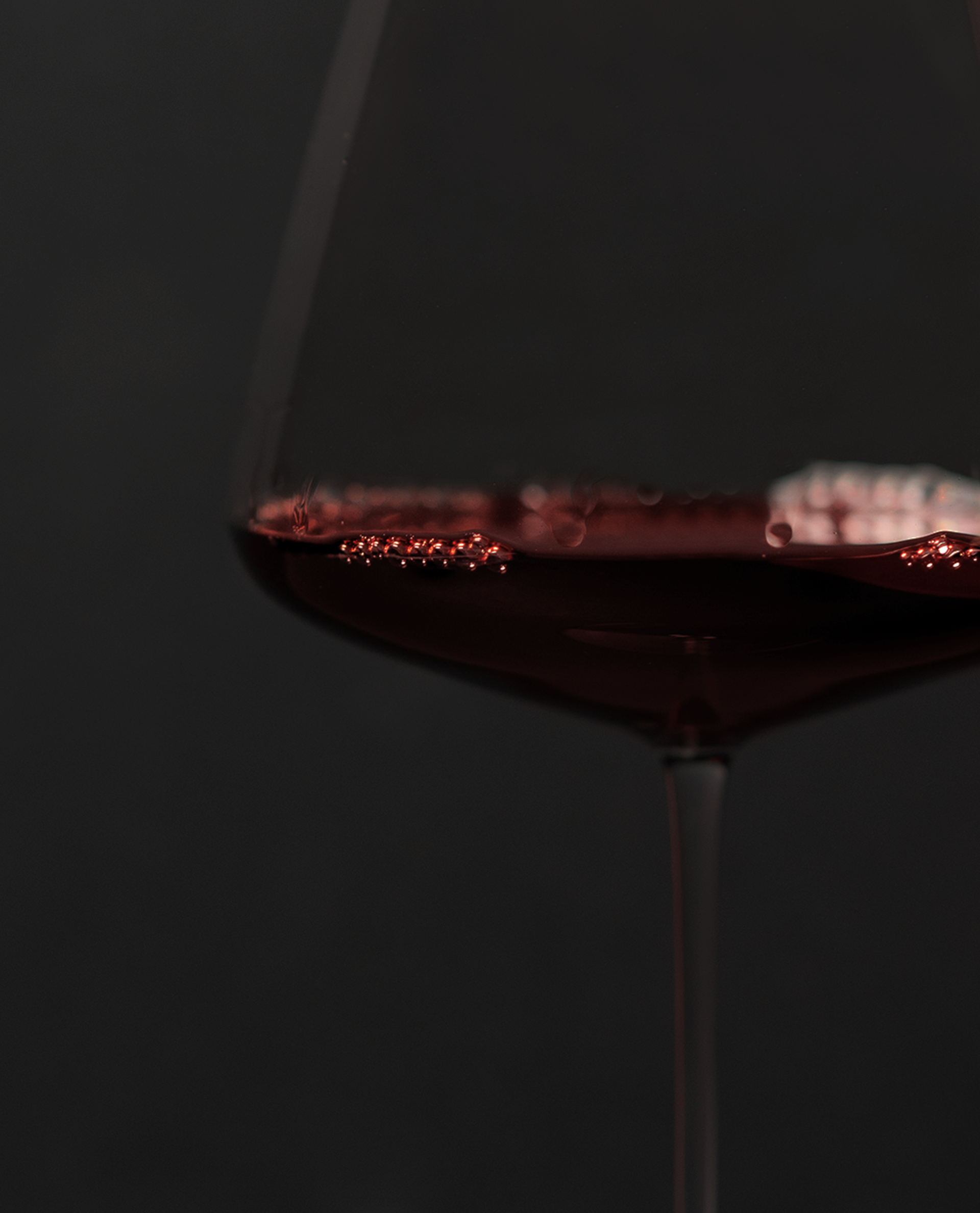 Tommasi Culinary Tales-2