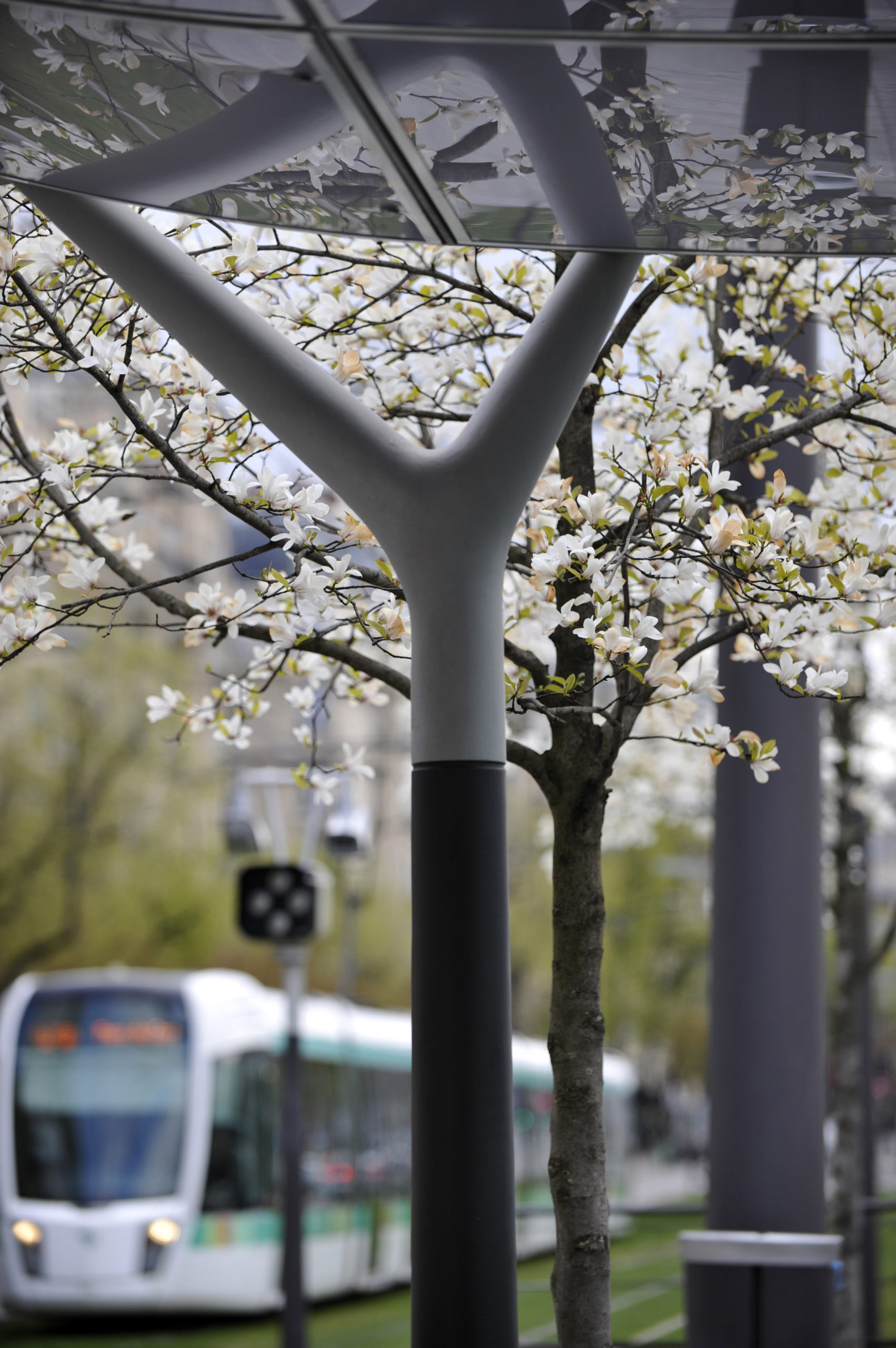 巴黎T3有轨电车项目丨法国巴黎-28