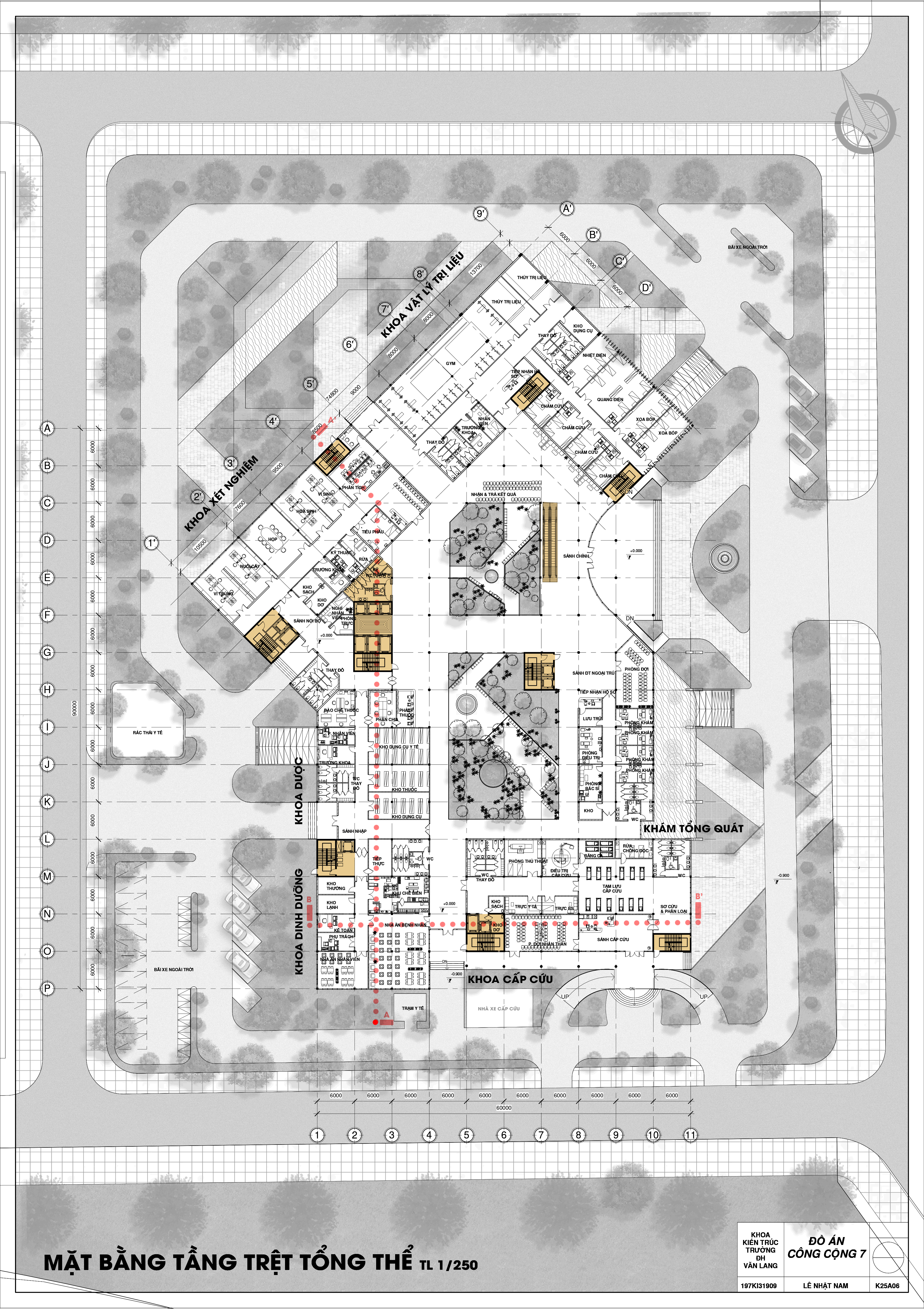 Hospital Project: Bệnh viện chấn thương chỉnh hình-3