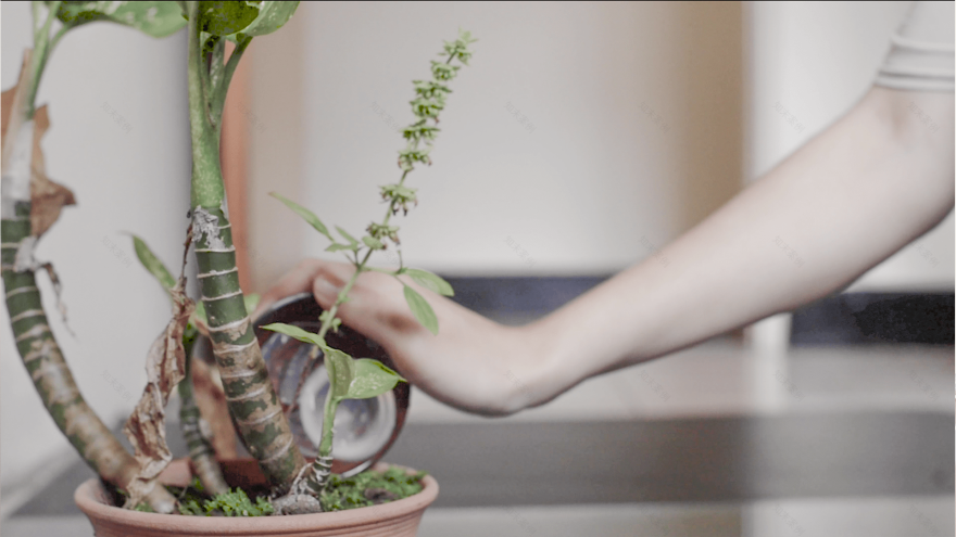 借物生活概念馆打造项目-6