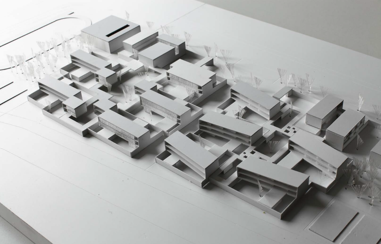 大舍 | 嘉定桃李园实验学校-5