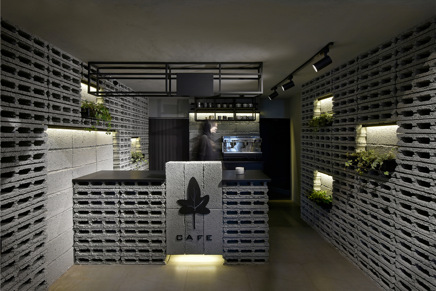 常春藤咖啡馆-21