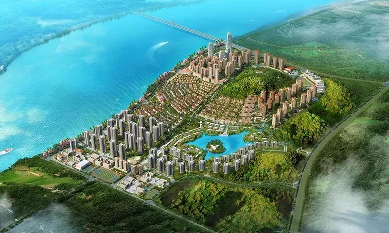 回访河源十里东岸 | 精致江山湖林，现代人居典范-61