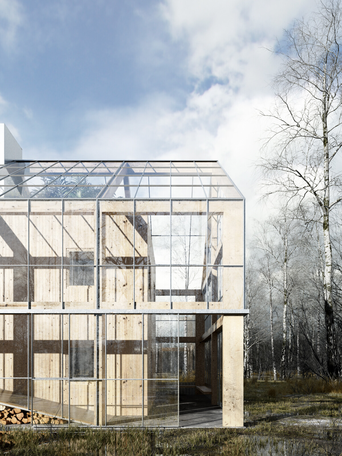 波兰绿意盎然的光之农场-10