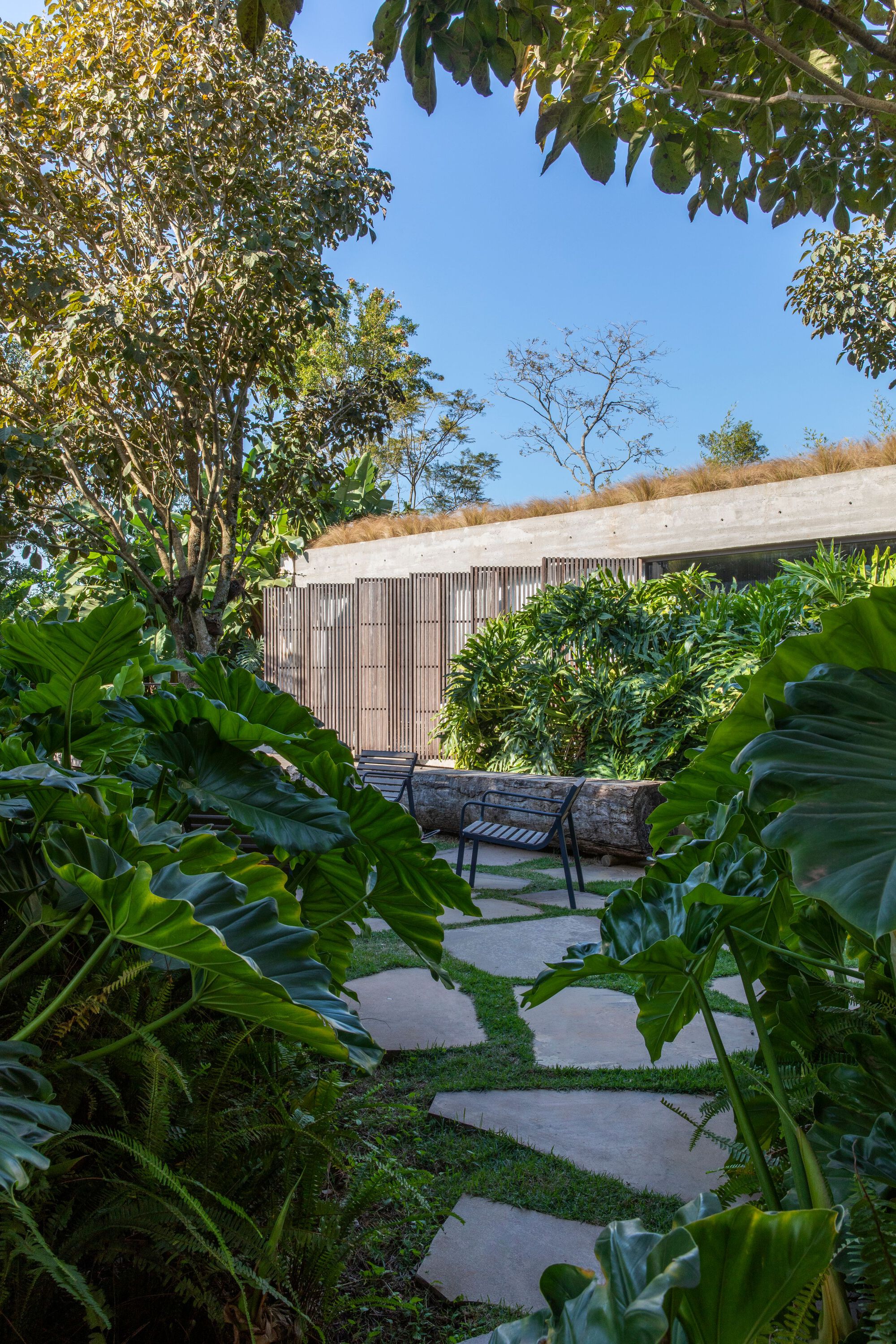 塞拉住宅丨巴西圣保罗-28