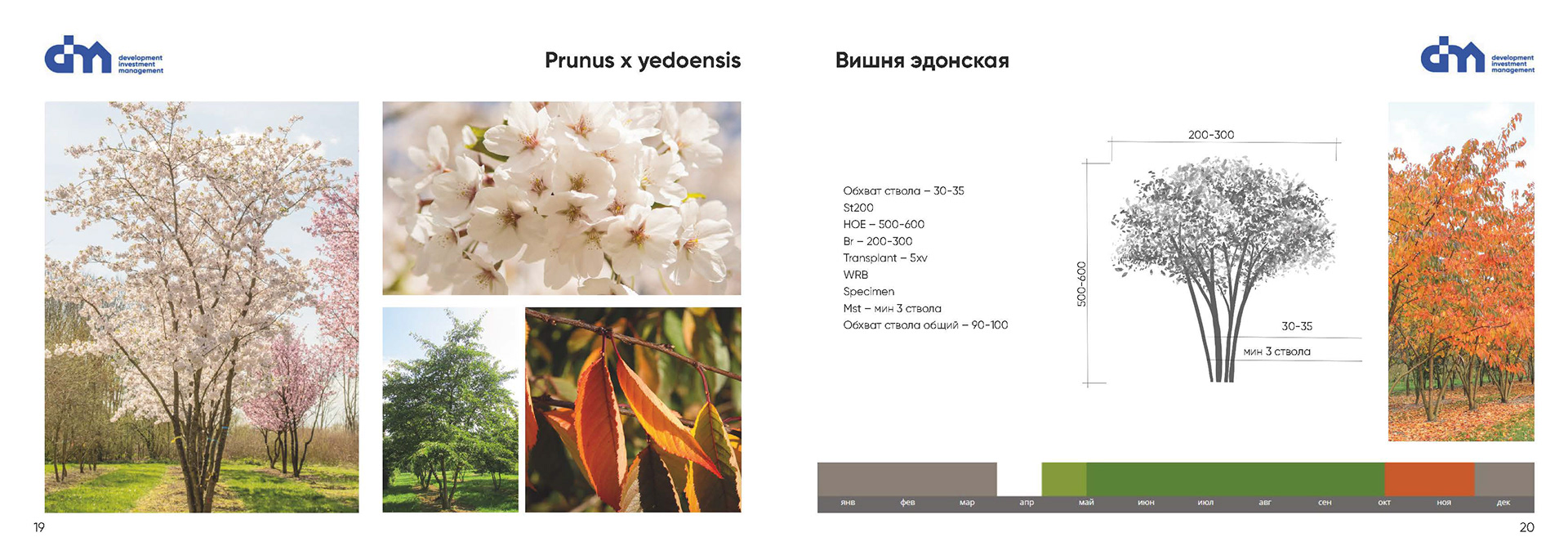 Greening standard for DIM Development-8