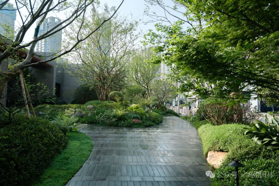 层叠的野性丨武汉瑞安城市展厅-25