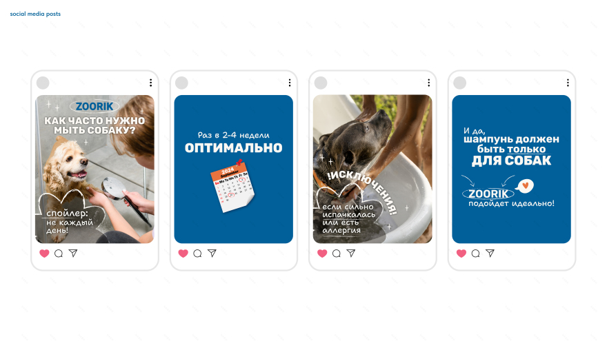 ZOORIK宠物护理产品设计丨GRIGOREVA OLESYA-27