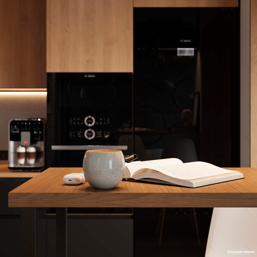 索菲娅公寓住宅丨乌克兰基辅丨Andrew Roy,Sergey Matvienko-11