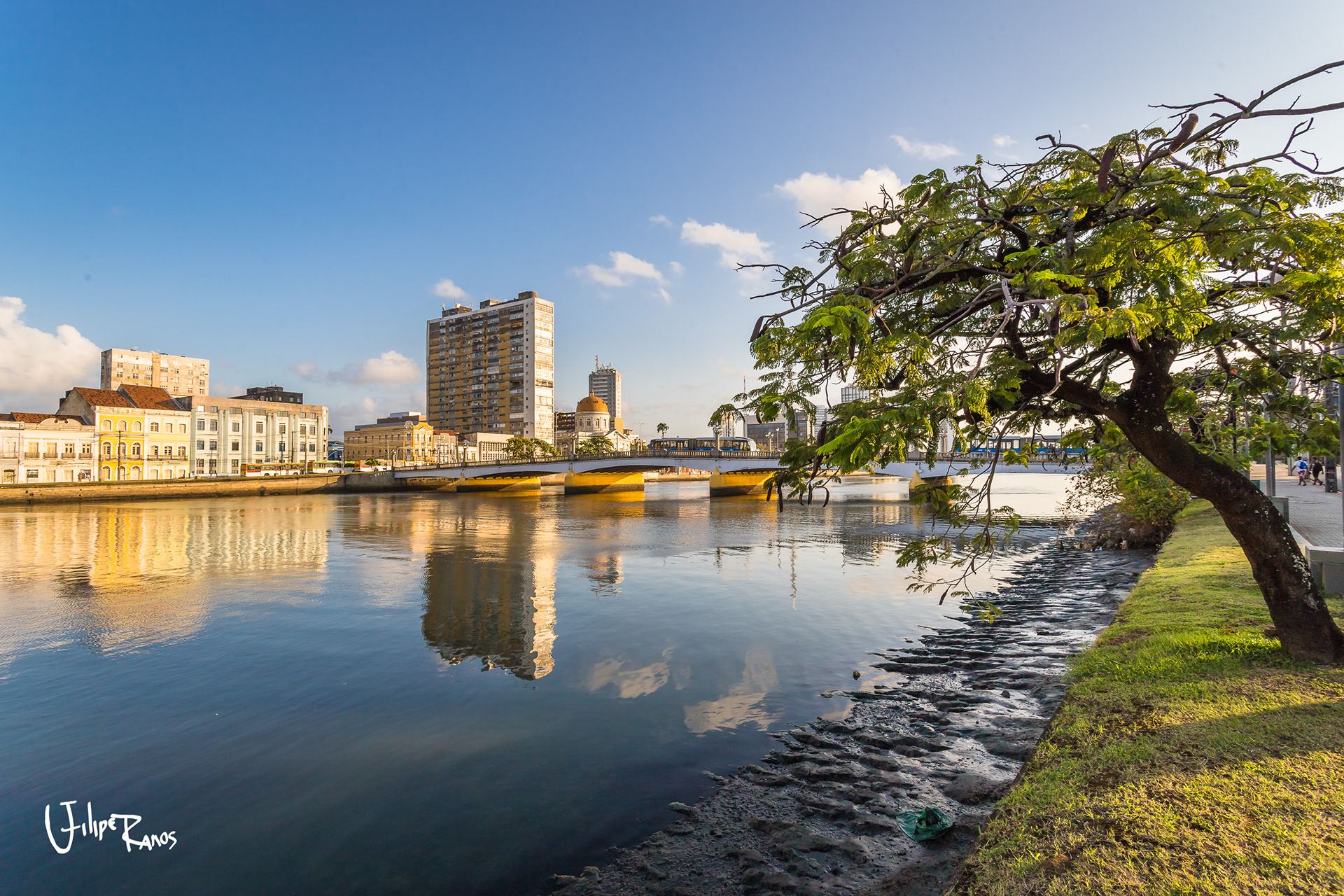 Simulações Abstratas-9