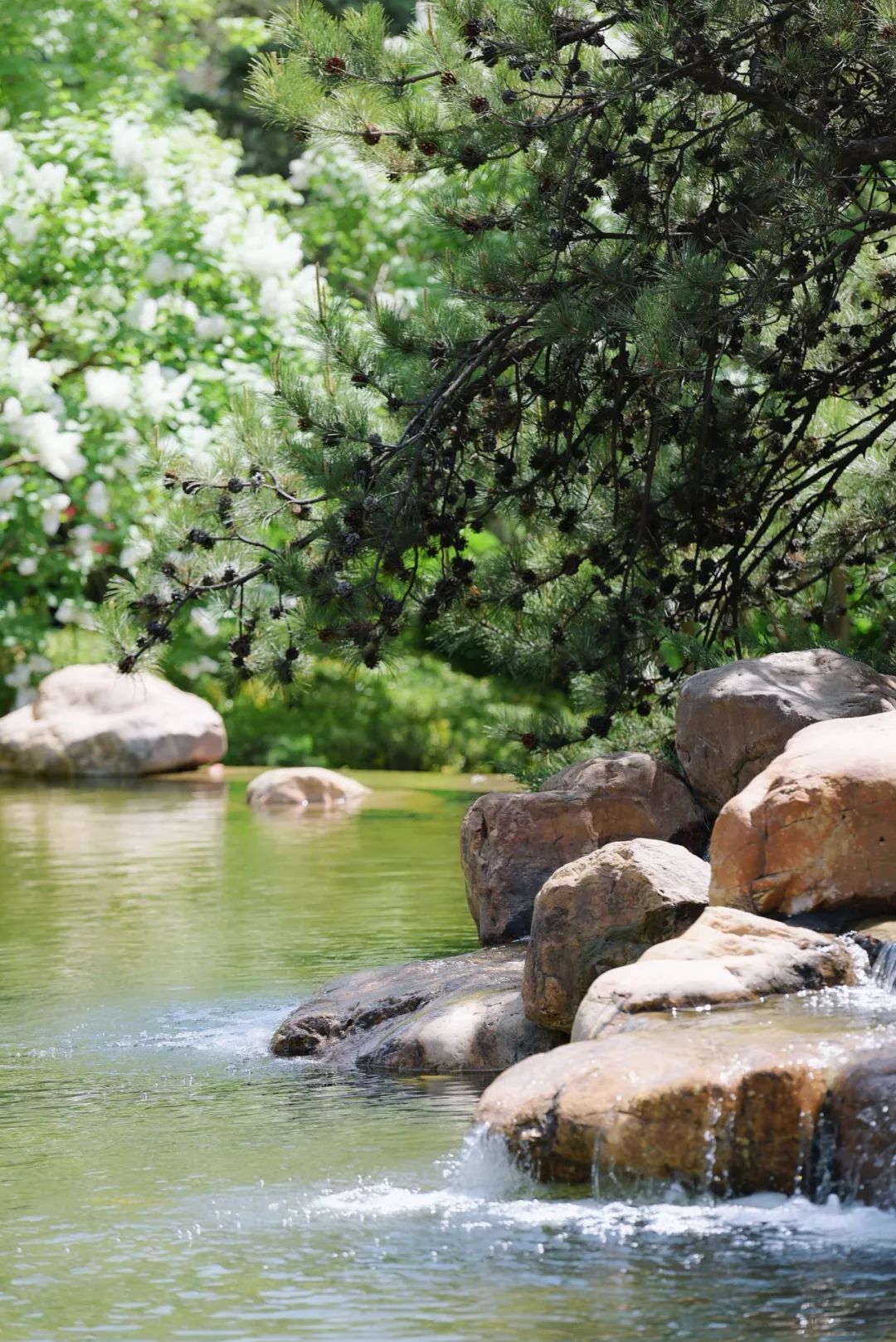 美好生活家 | 有一种范儿，叫“大院”-50