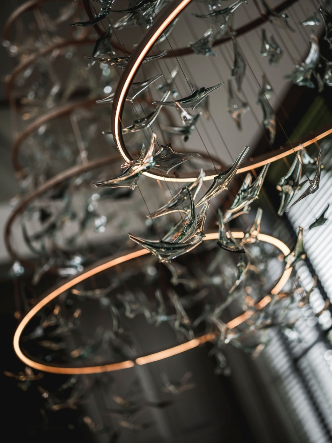 Transformation into a residential house, preserving the characteristics of the carriage house | Kabaz-10