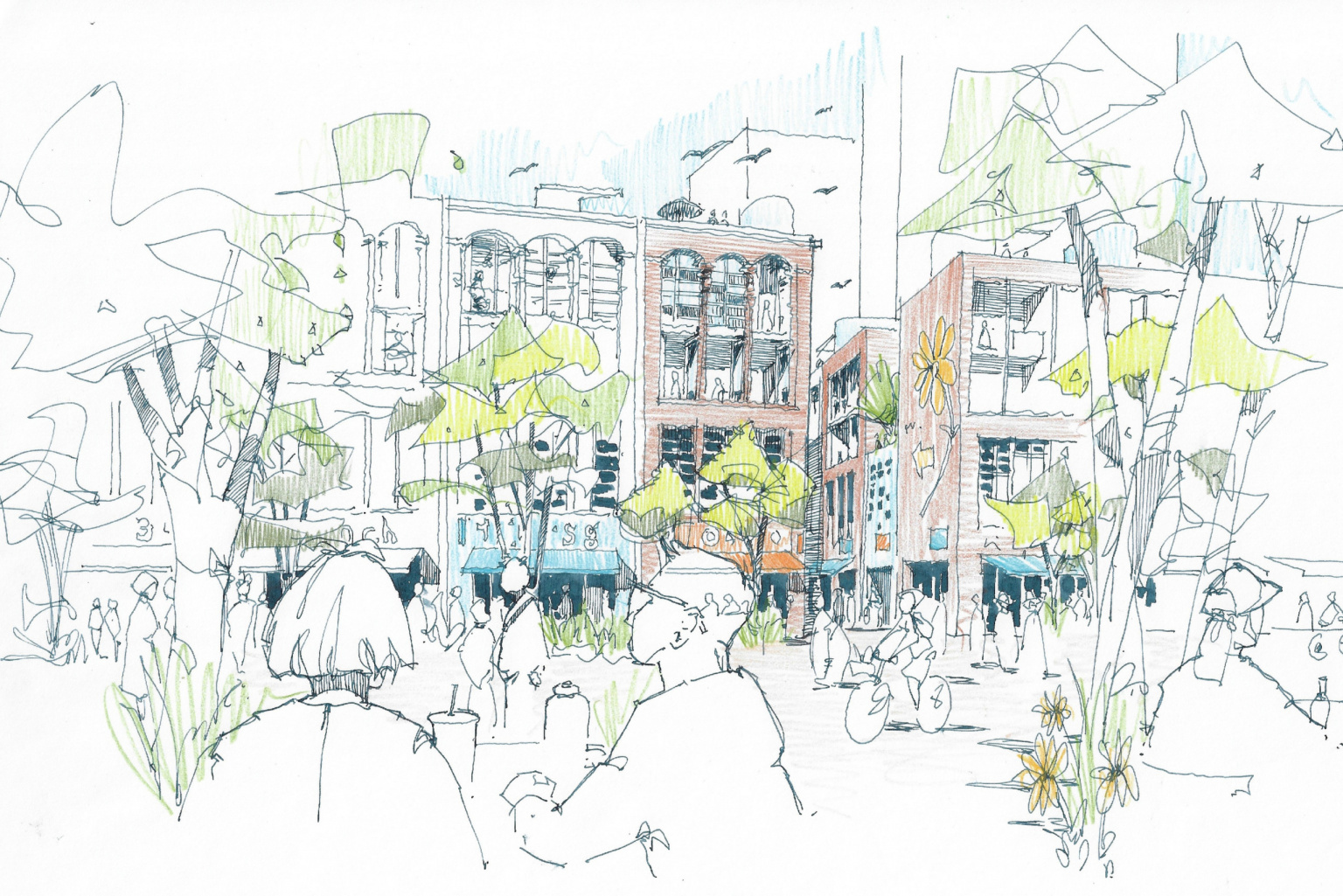 丨澳大利亚悉尼-27