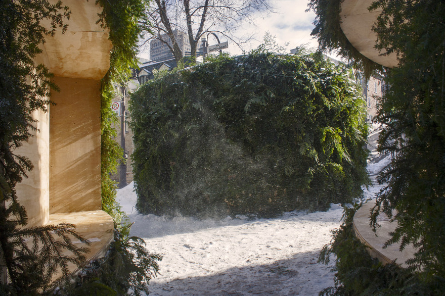 冬日栖所,加拿大 / les malcommodes-8