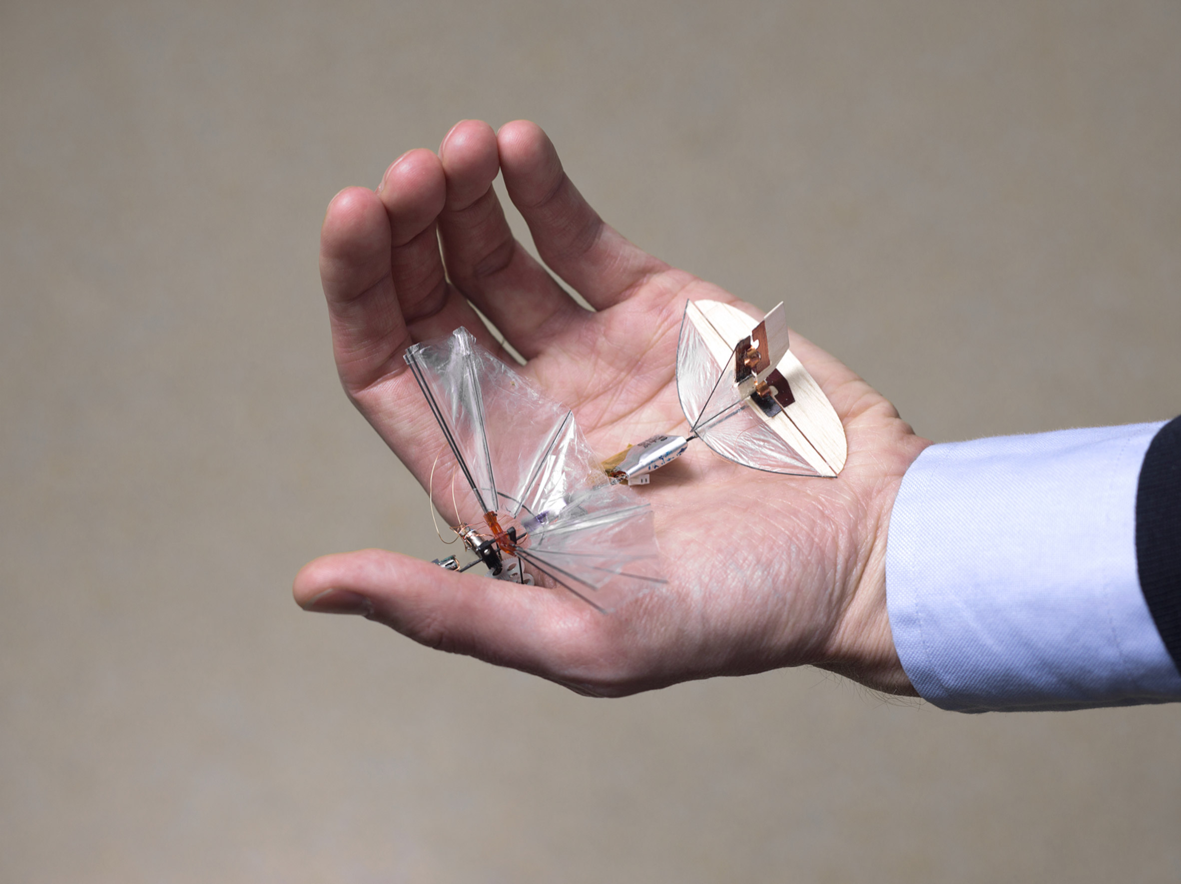 Robots in the wild could "serve nature in a positive way" by replacing vanishing species, says Robotanica curator-20