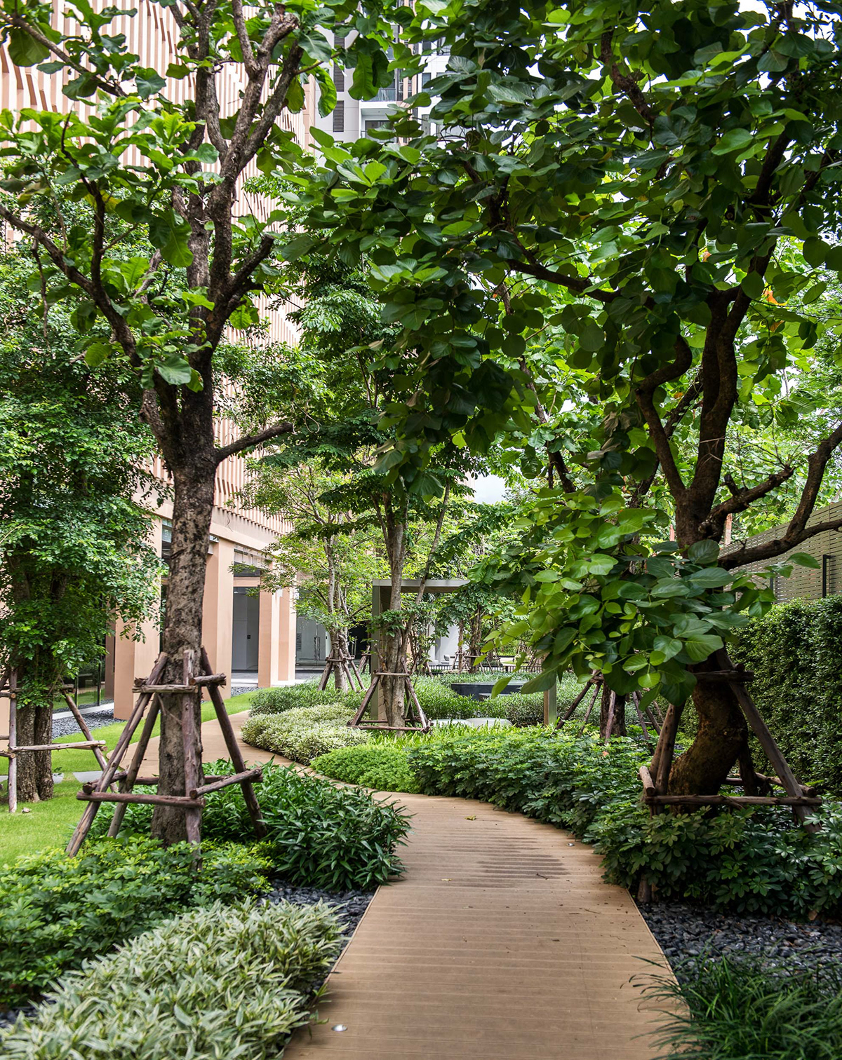 M 贾图贾克[景观]丨泰国丨SANITAS STUDIO-7