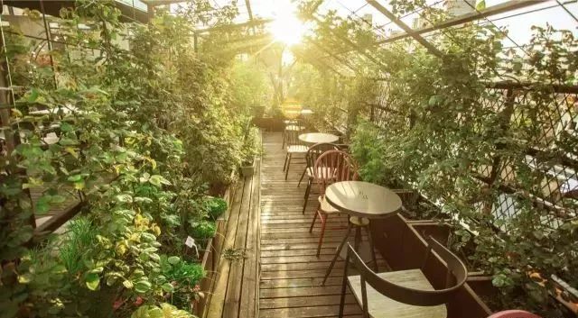 火遍魔都超700㎡网红花园，看过的人都被圈粉-158