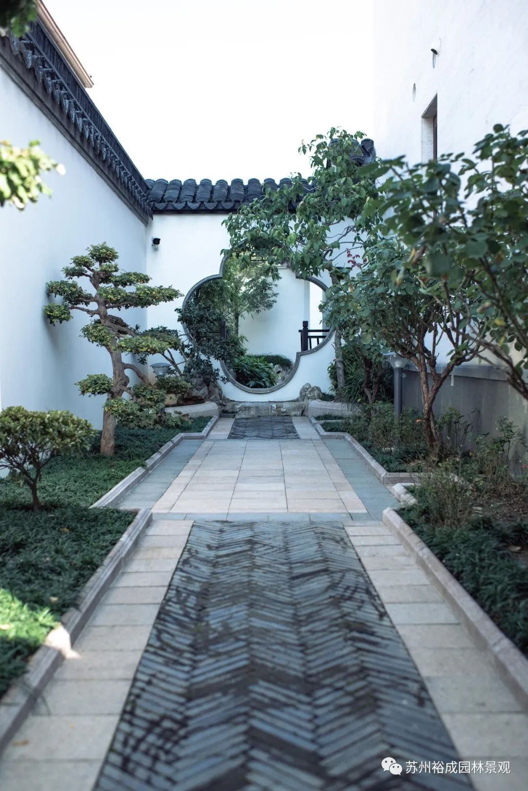 苏州桃坞雅园—芳园 | 园中园的苏式园林艺术-13