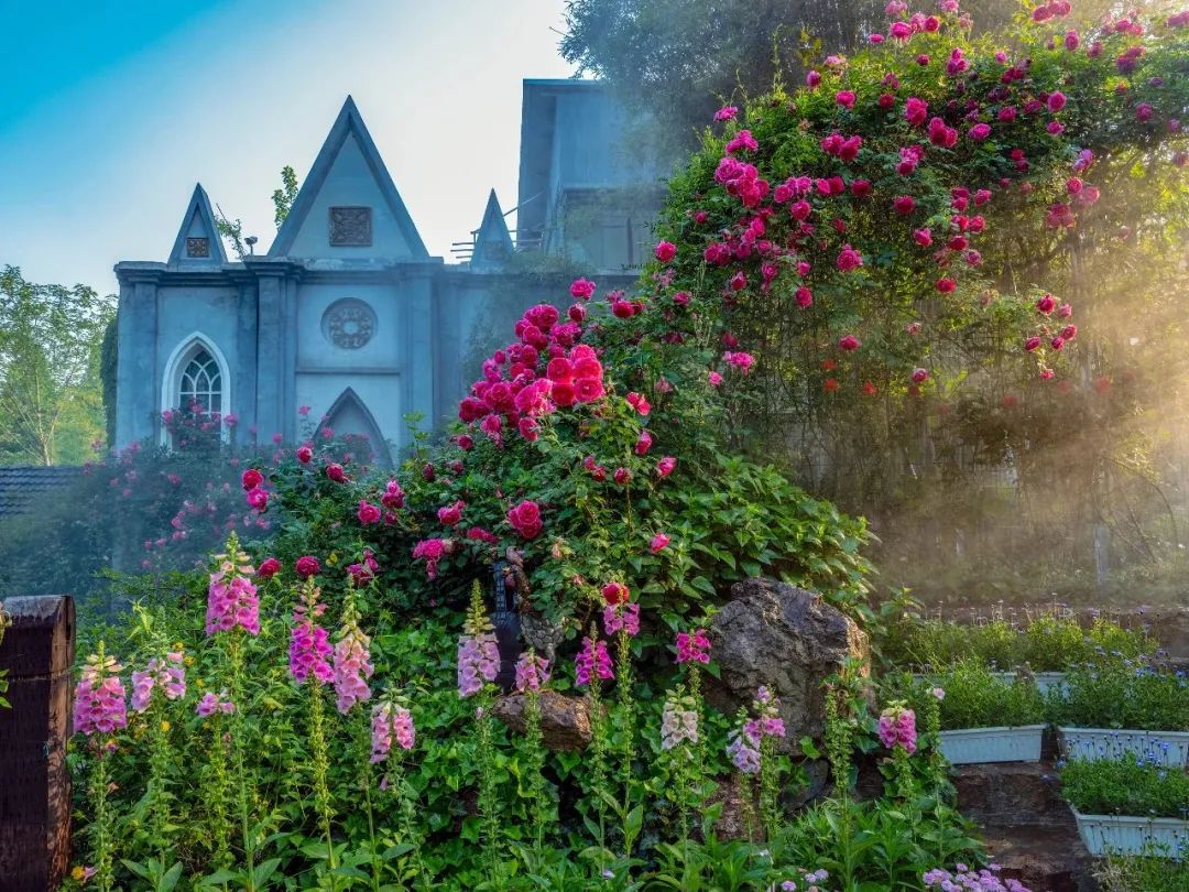 三棵树庄园 | 摄影家的心灵秘境-15