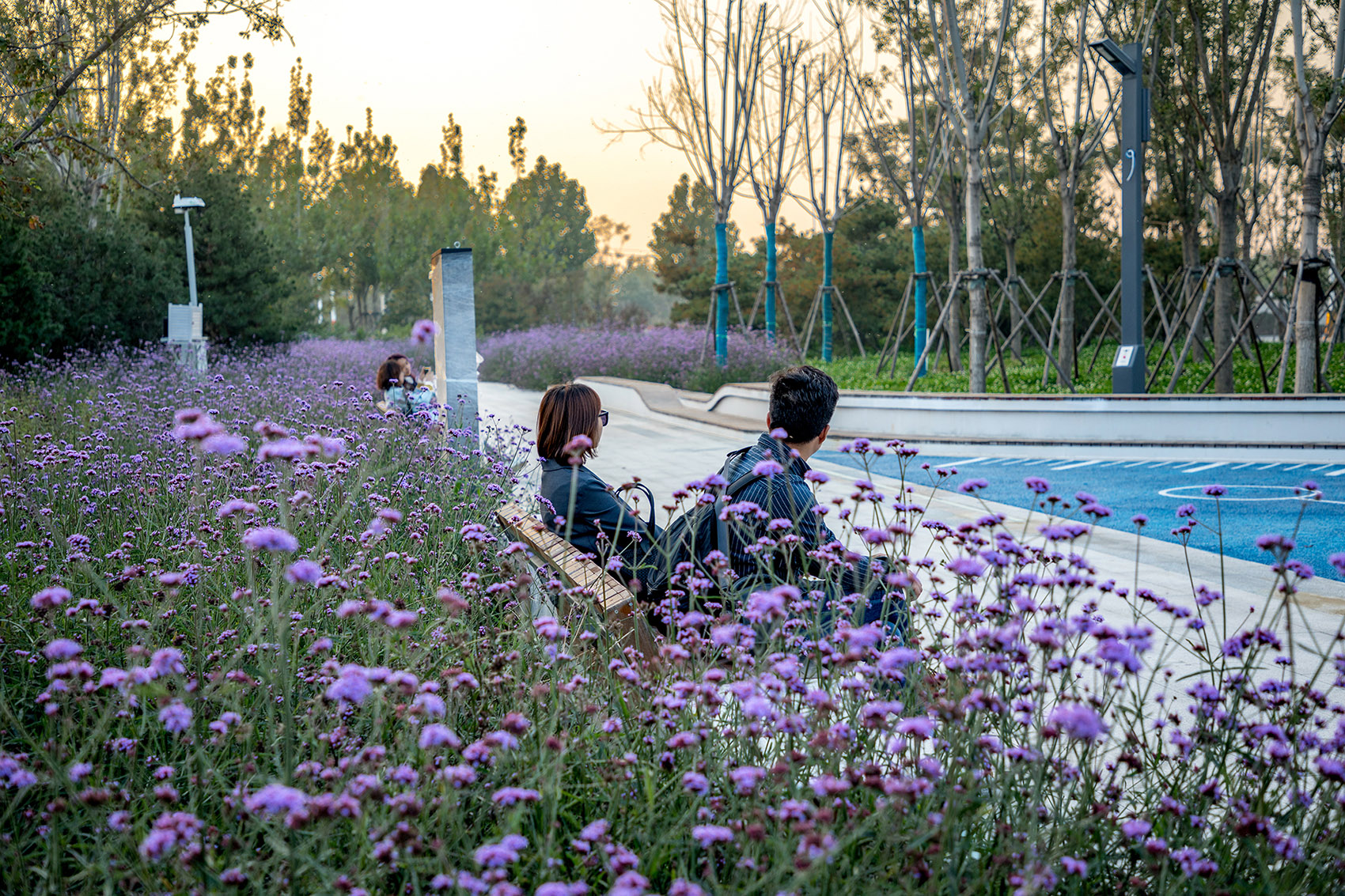 唐山市京唐大道中央绿轴景观-27