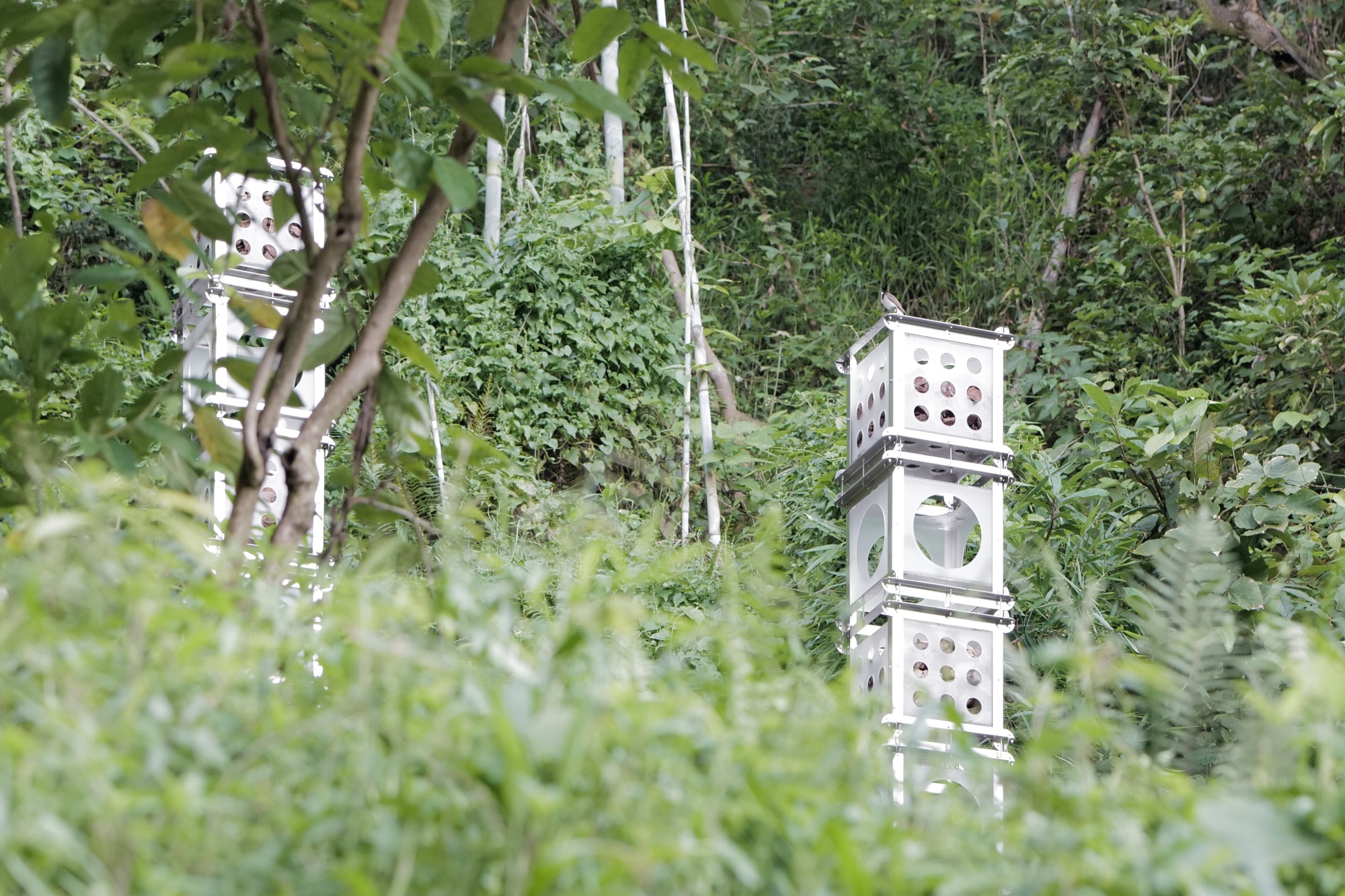 自然灯塔丨中国惠州丨JXY Studio-4