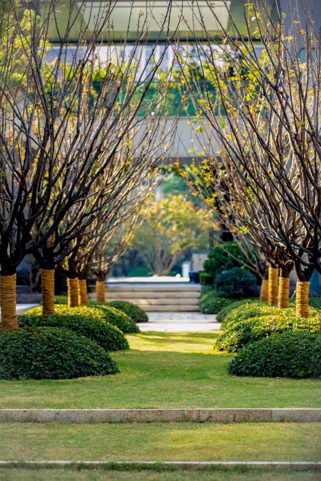 江南郡水乡画卷,现代生活美学典范-40