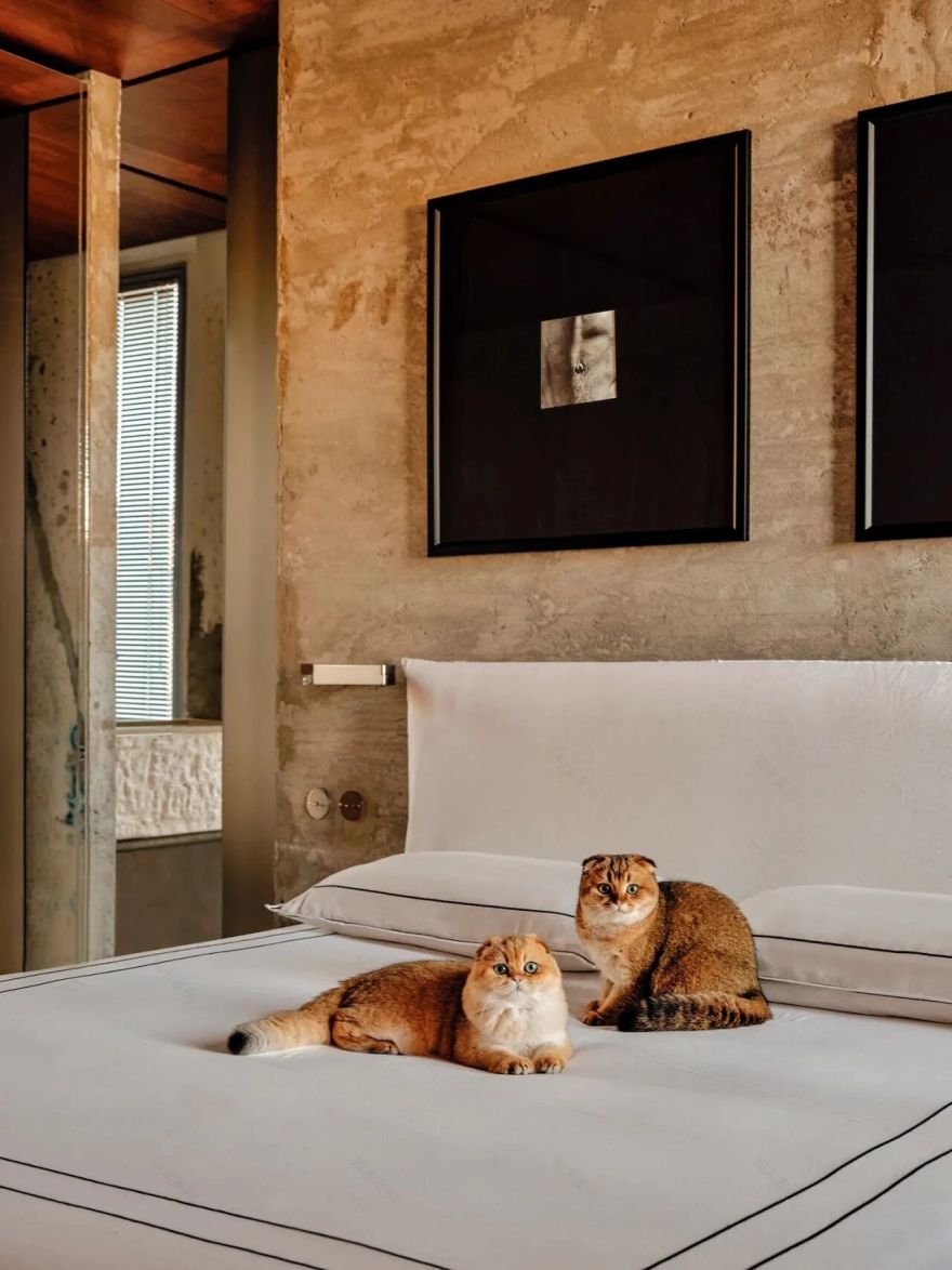 邦代海滩附近私人住宅丨Andrew Burges-44